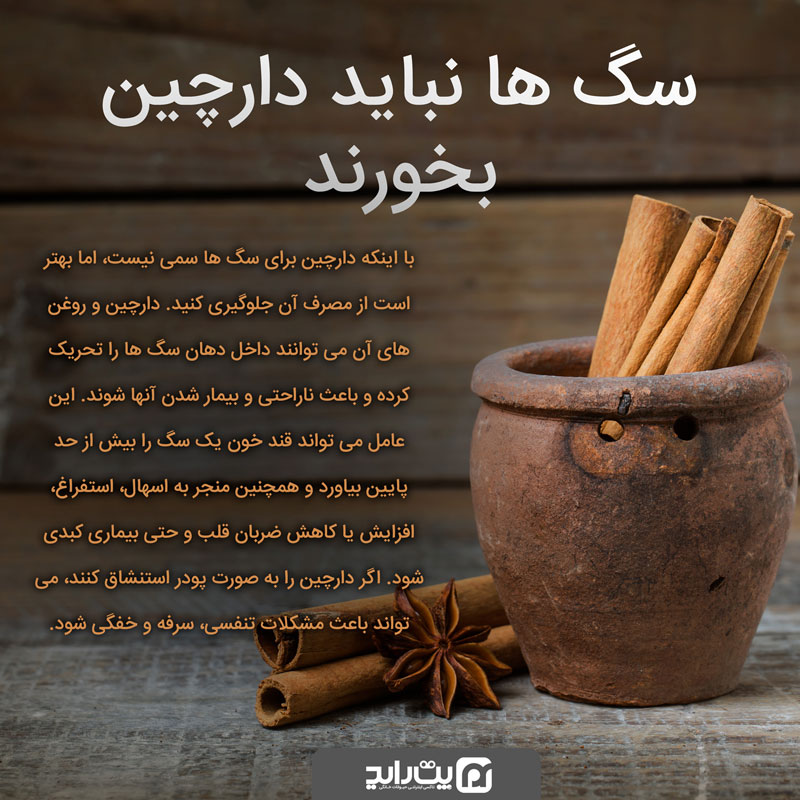 دارچین برای سگ